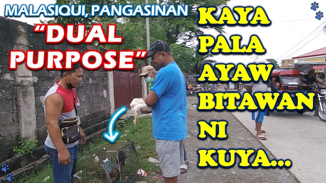 MURANG BILIHAN NG MGA HAYOP-