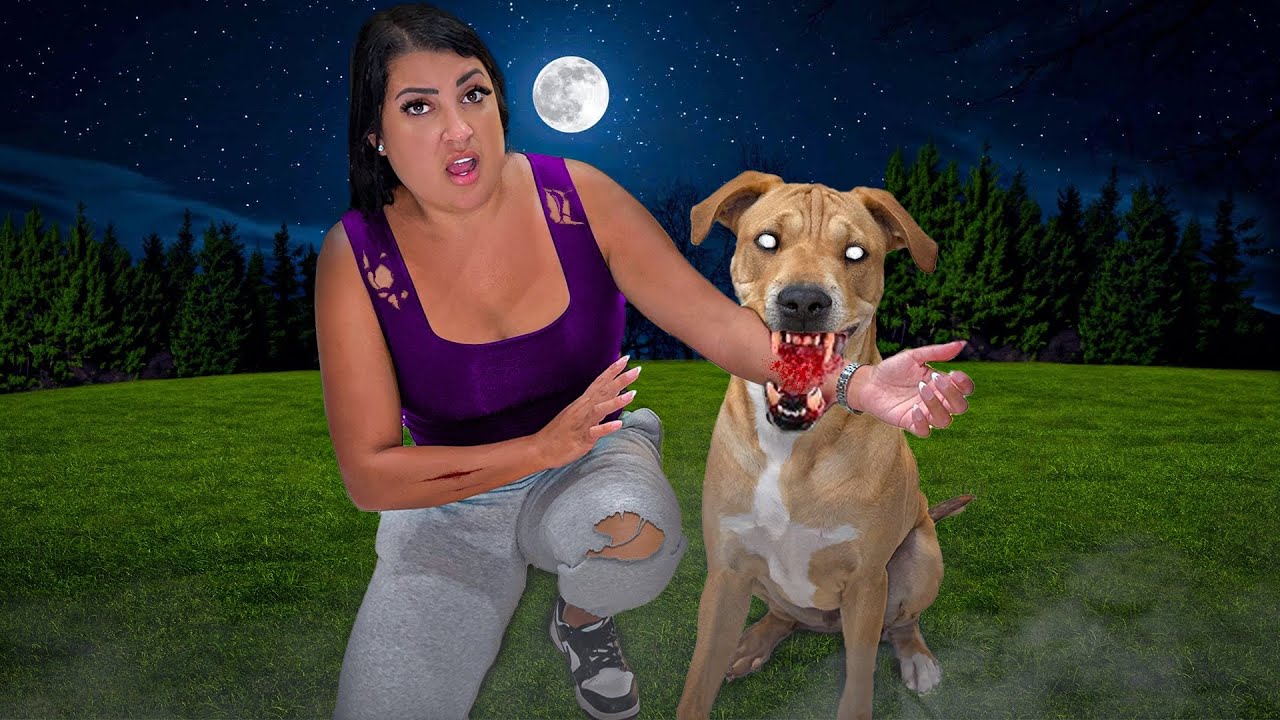 MY BROTHER'S POSSESSED DOG BIT ME...