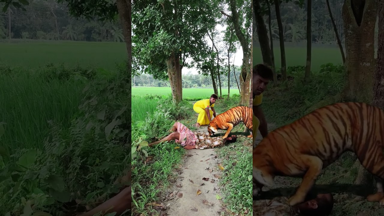 suddenly a leopard attack village road 