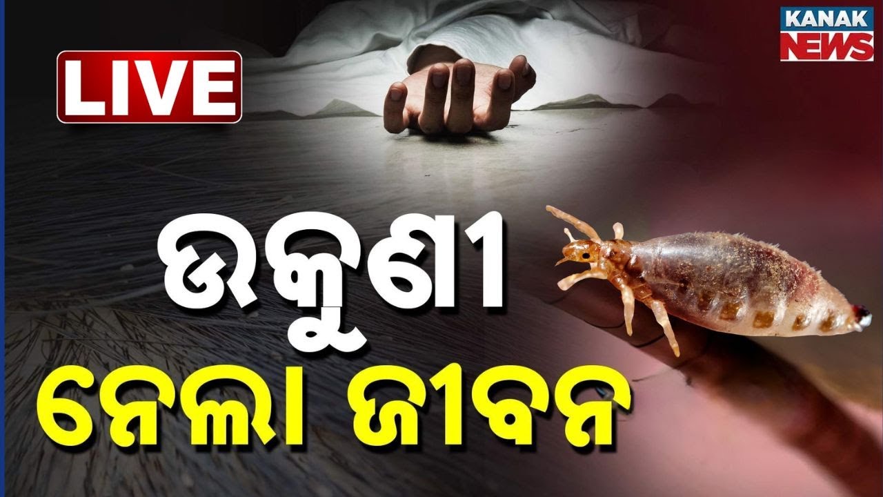 🔴Big Breaking | ଉକୁଣୀ ନେଲା ଜୀବନ | 12-YO Girl Dies Due to Severe Head Lice Infection | Kanak Digital