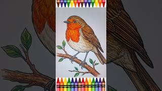 ❤️ Satisfying Cardinal Bird Coloring | Relaxing ASMR Coloring Page 🌳 | Oddly Satisfying