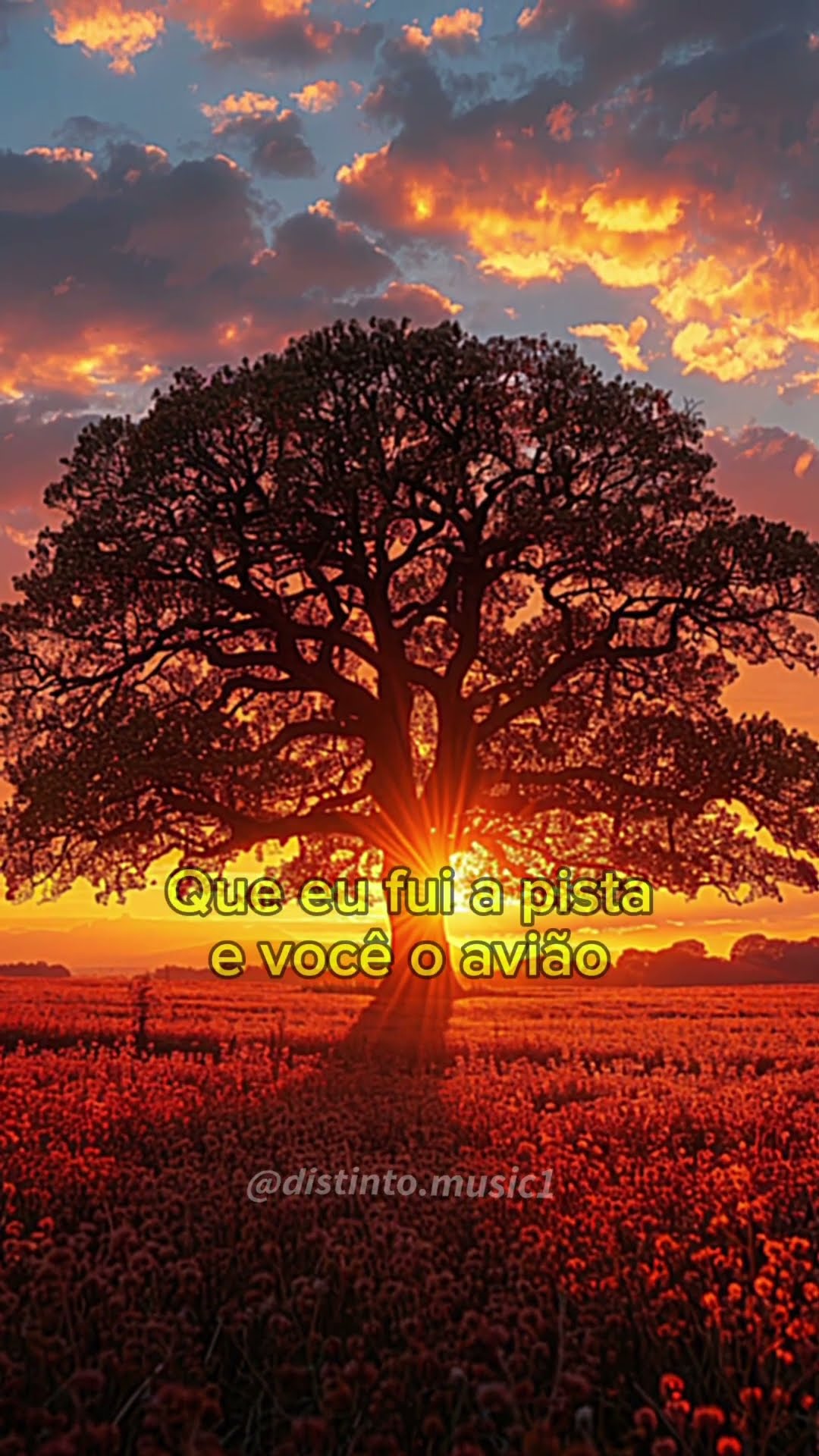 Beijos, blues e poesia - Seu Desejo  #seudesejo #beijosbluesepoesia #musica #letra #musicacomletra