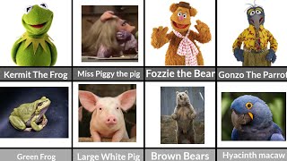 All The Muppets Characters in real life Comparison