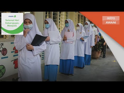 Video: Kultus Kanak-kanak, Atau Pendidikan 