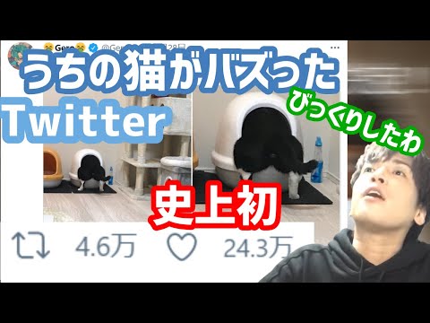 金城家の猫がTwitterでバズった件【Gero/切り抜き/2021/02/06】