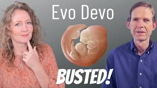 Evo Devo Evidence for Evolution: Religious Argument Exposed