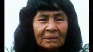 Shamans Ayahuaska  Icaros