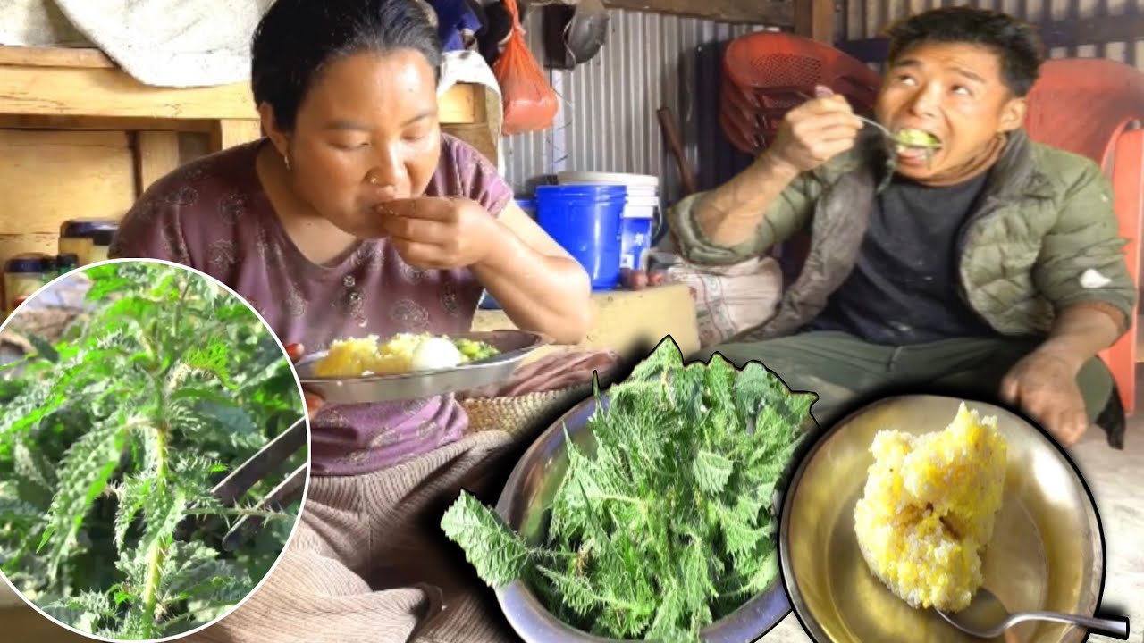 Enjoying Village life | A Delicious Organic Nettle Curry Meal from the Countryside.