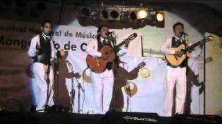 Video thumbnail of "madera trio voy hacerte un bambuquito"