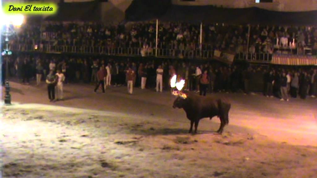 Bous A Ll ria 2011 Sabado 08 Octubre 2 Parte YouTube bous-a-ll-ria-2011-sabado-08-octubre-2-parte-youtube