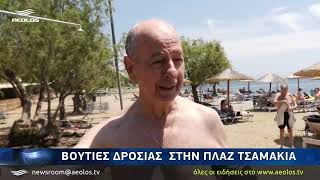 Βουτιές δροσιάς στην πλαζ Τσαμάκια