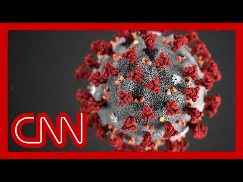 US surpasses 200,000 coronavirus deaths