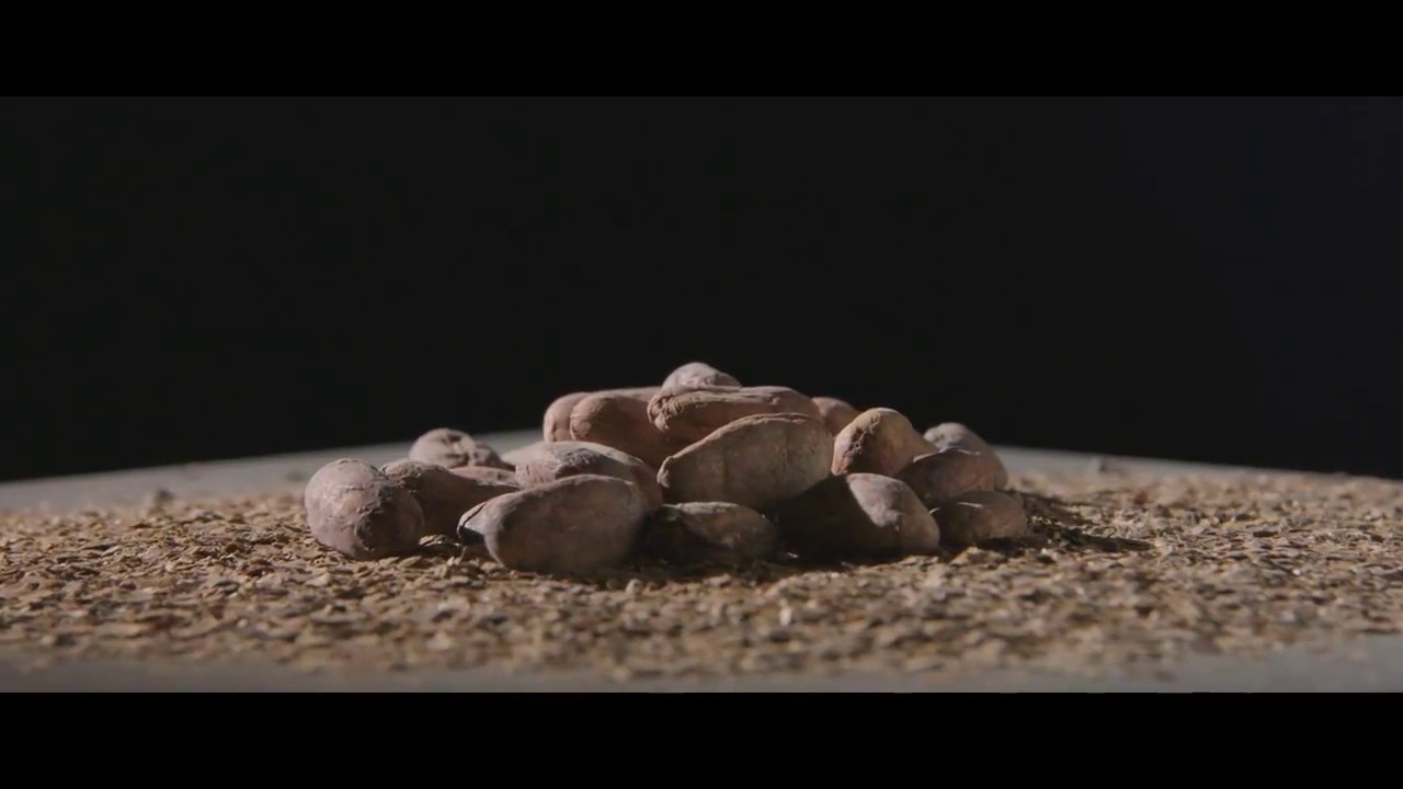 Marmoleum Cocoa YouTube