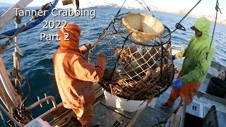 Tanner Crab Season Pt .2 - Hauling Our Prospect Pots