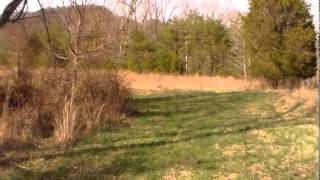 Merk Farms Hunting; Wheeler Lease, Estill, KY 350 Acres