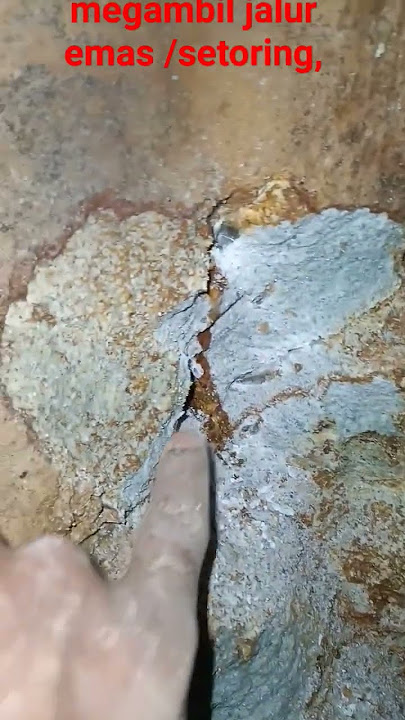 heboh...taking the gold route/depositing#short#gold mine#mandailing natal#hutabargot#travel#