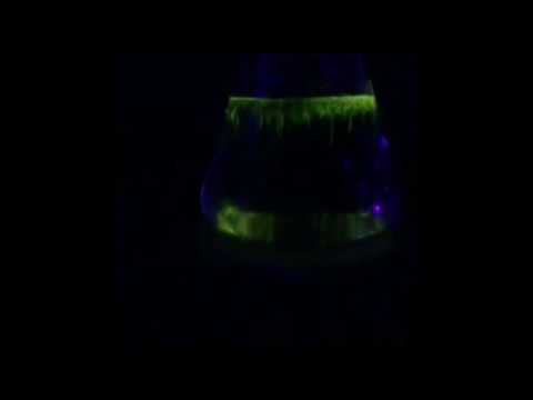 Bastoncini di zucchero a LED 1,5 M di luce calda