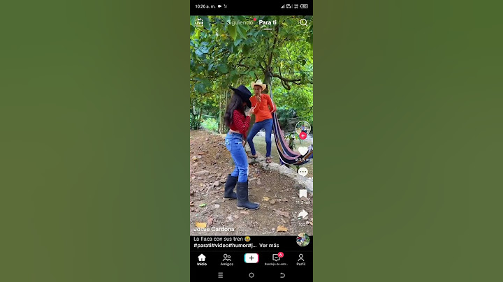 la fla y sus bailes
