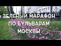 Зеленый марафон по бульварам Москвы