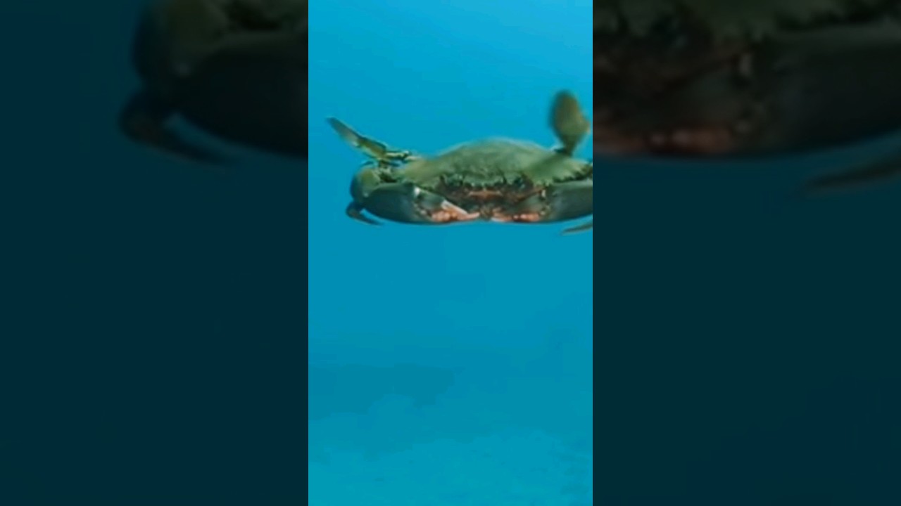 ������������