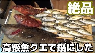 釣った高級魚クエで高級鍋料理！！