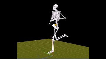 Qualisys Motion Capture System used in the Exercise & Sports Science Center