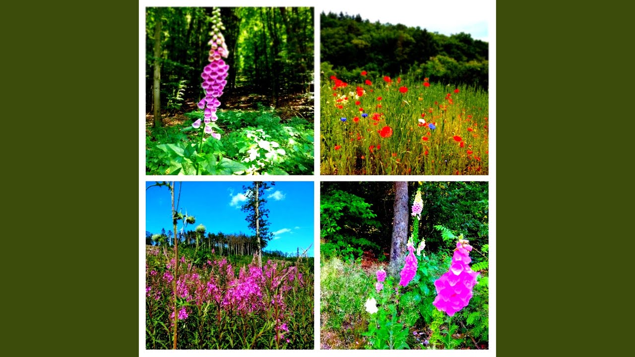 Zuckungen in Den Dancebeinen (New Master Mix)