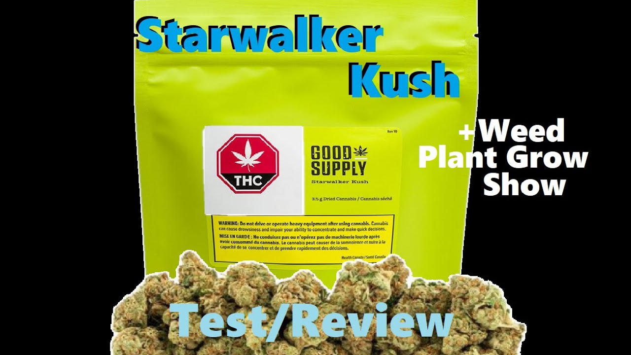 Starwalker Kush Strain Test Starwalker Cannabis Weed Review +Weed Plant Grow & Show Mars Hydro