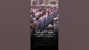 فدعا ربه اني مغلوب فانتصر سورة القمر مشاري العفاسي