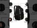 Safari Quill Large Laptop Backpack 26 Ltrs Water Resistant Fabric - Black