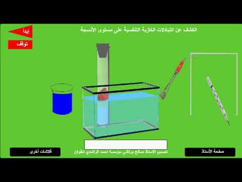 تجربة التنفس الخلوي