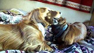 101_9069.MOV