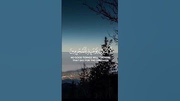 القارئ حاتم المالكي 🌿