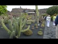 Jardin de Cactus por Manrique