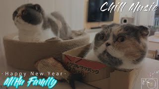 [Chillout with kittens] Happy new year 2024 ｜Chill Music, Background, Work, Sleep, Meditation by Mihu family Take a break 129 views 4 months ago 15 minutes