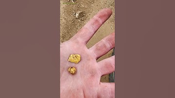 AZ Gold with the Minelab GPZ7000 #gold #goldrush #goldfever #landofthefree #az #goldcrazy