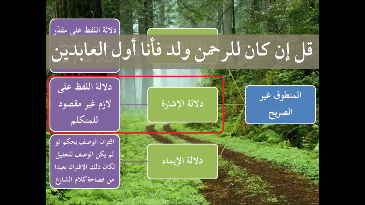 تفصيل دلالة الإشارة