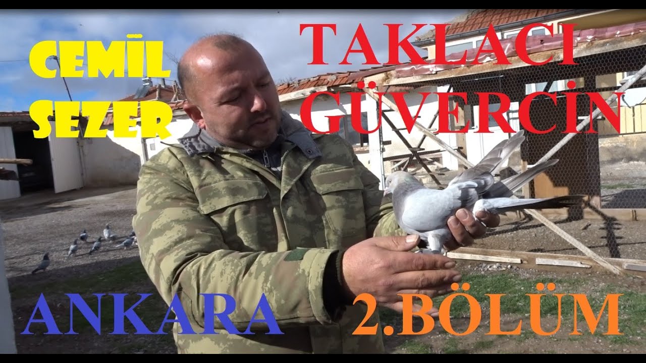 Cemil Sezer'in Taklacı Güvercinleri 2.Bölüm