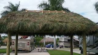Plantation Fl Tiki Hut & Chickee Hut Rethatch | MONSTER TIKI HUTS