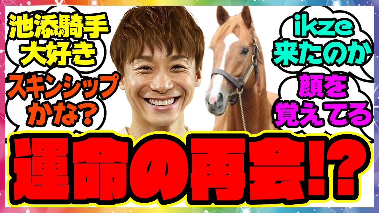 『池添騎手とオルフェーヴル、運命の再会が面白すぎるｗｗｗ』に対するみんなの反応集 まとめ ウマ娘プリティーダービー  レイミン 競馬の反応集 ikze