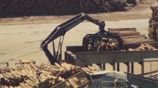 Integrated Maintenance Solutions at the Celbi pulp mill