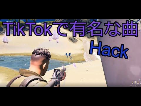 【TikTokで有名な曲 Hack】キル集/montage【fortnite/フォートナイト】