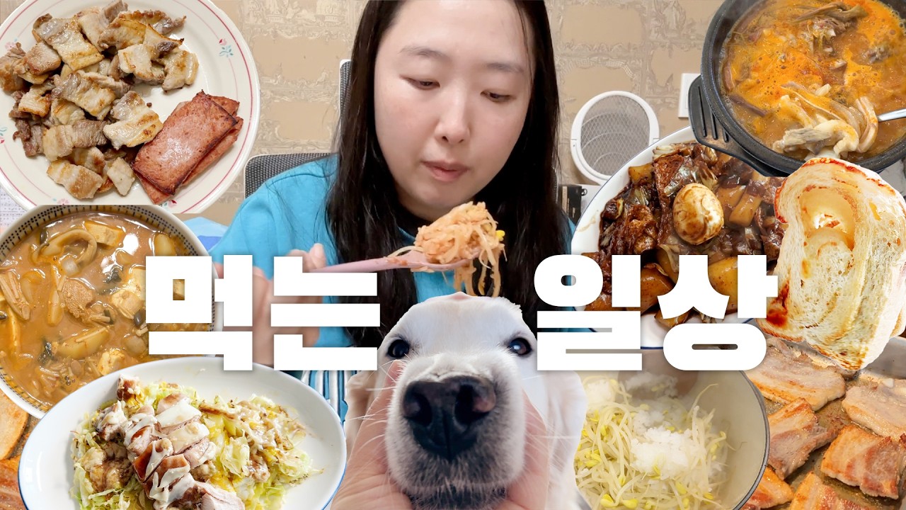 장보고 집밥먹고, 리트리버랑 노는 시골일상 VLOG_삼겹살에 스팸, 콩나물 솥밥 먹방