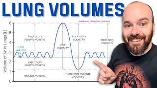 Lung Volumes & Capacities