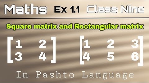 Pashto Online Class | Square and Rectangular matrices Class 9 Ex1.1