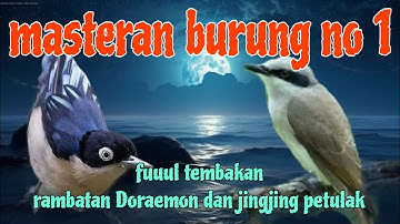 Tembakan juara 1 jingjing petulak dan rambatan Doraemon