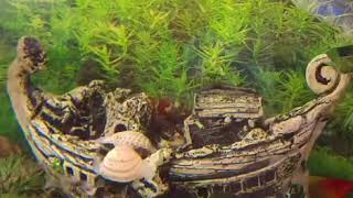 En Yeni En Guzel Vidyolar