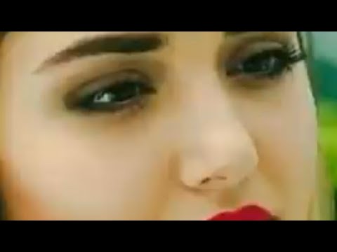 اجمل حالات واتس اب محمود عبوش هذا الشيب بوجهك فرح 2020