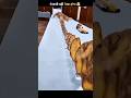 Human Body Slice View 🦴 | Real Human Skeleton Structure Explained