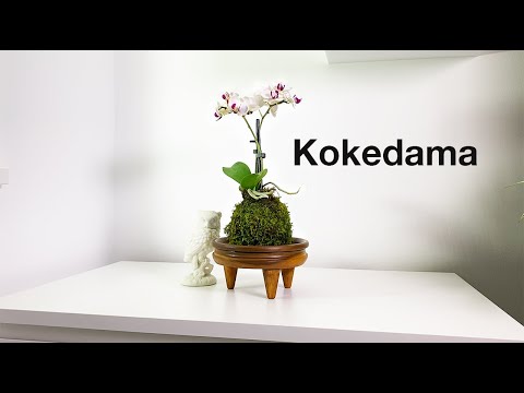 Video: Potless: A Little About The Art Of Kokedama